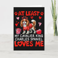 Au moins Cavalier King Charles Spaniel m'aimant V