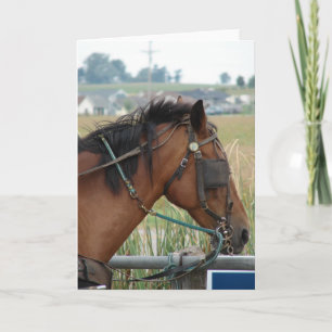 Carte Au poste de tir