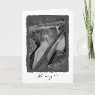 Carte Aucune manière, anniversaire !