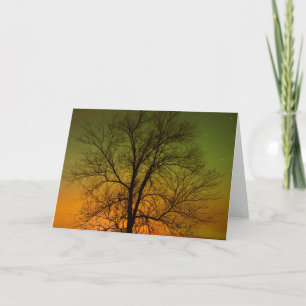 Carte Aurora Borealis & Cottonwood Tree