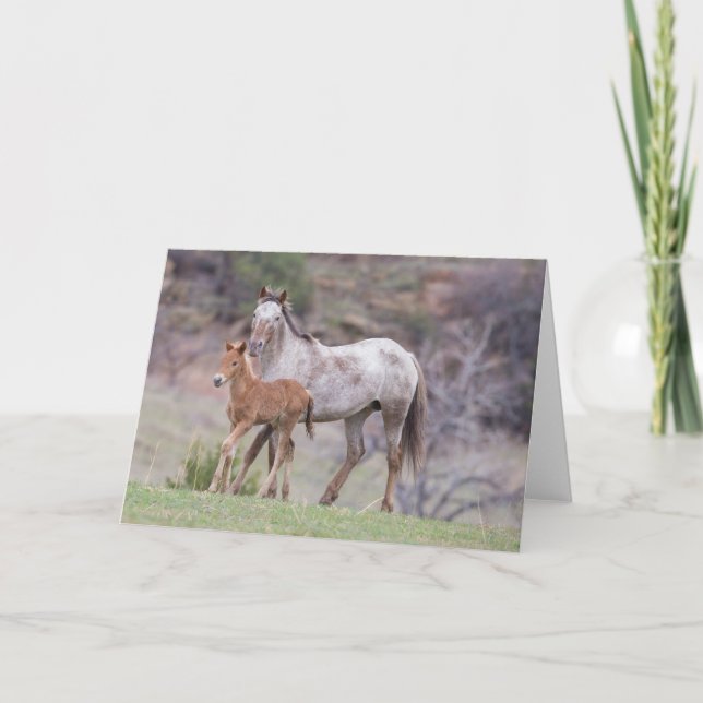 Carte Aurora & Filly-Galloping to Freedom Greeting Card (Devant)