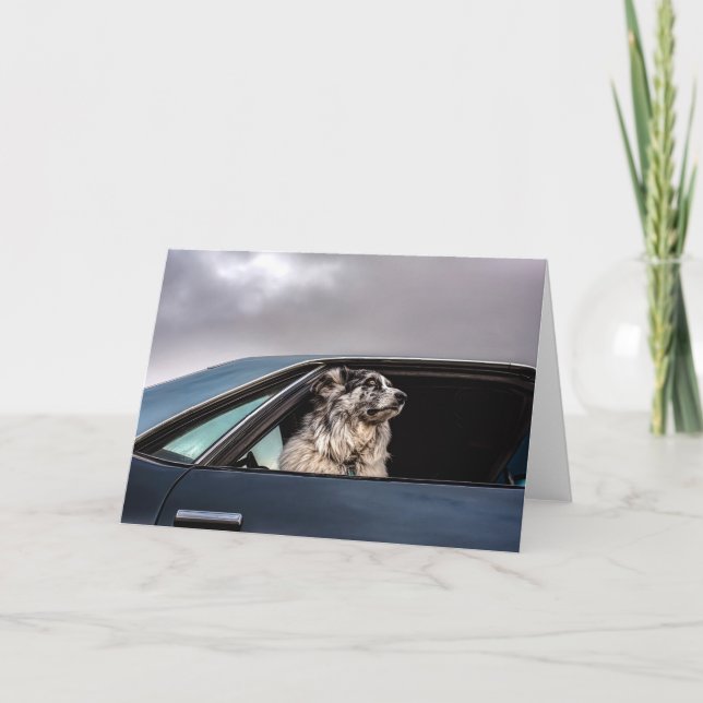 Carte Aussie dog card (Devant)