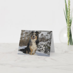 Carte Aussie Dog Hello Love, berger australien