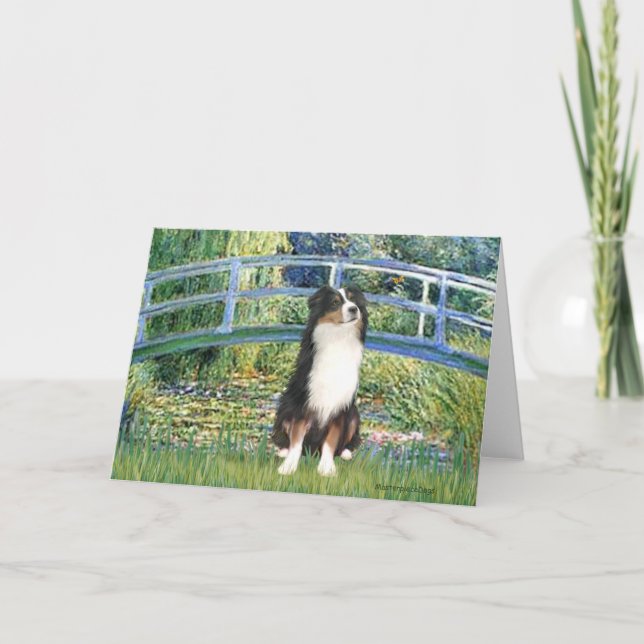 Carte Aussie Shep (Tri2) - Pont (Devant)