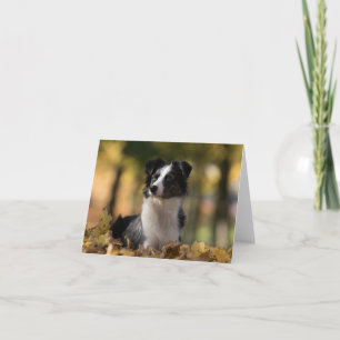 Carte Aussie Shepherd Aussie Puppy Dog Hello Love