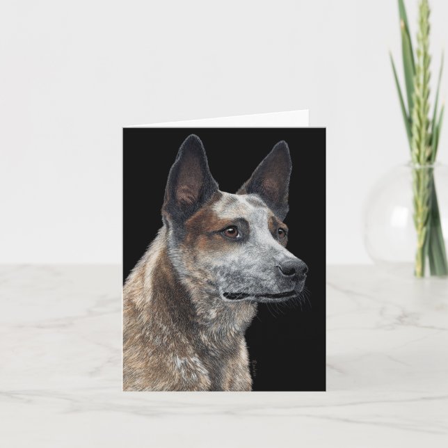 Carte Australian Cattle Dog - "Jack" (Devant)