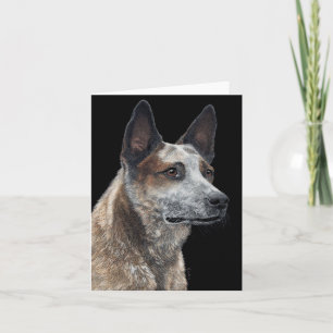 Carte Australian Cattle Dog - "Jack"