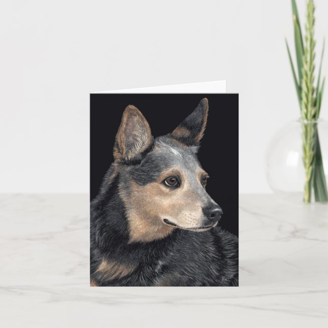 Carte Australian Cattle Dog - "Quigley" (Devant)