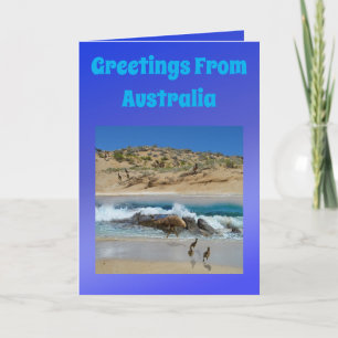 Carte Australian Emu And Koala, Birthday