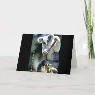 Carte Australie Koala Bear