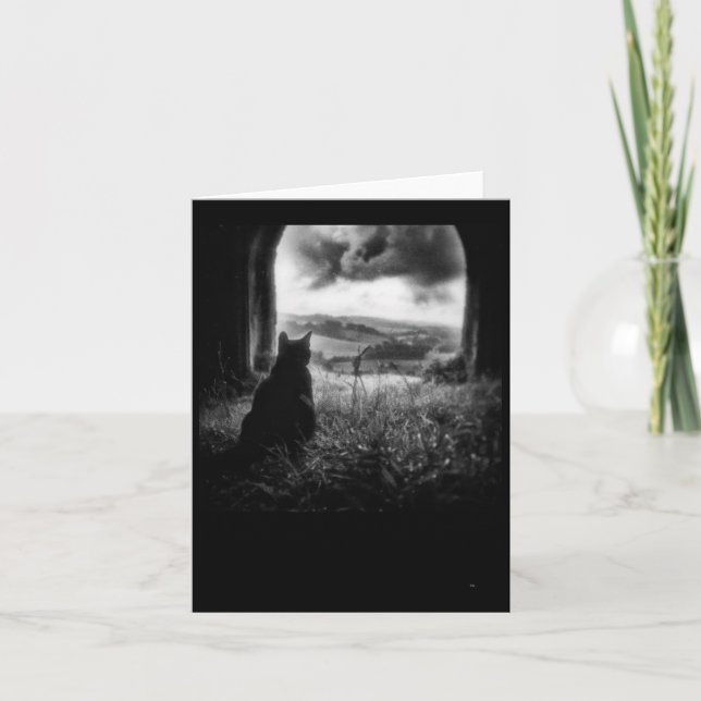Carte Autocollant Mystic Meow  (Devant)