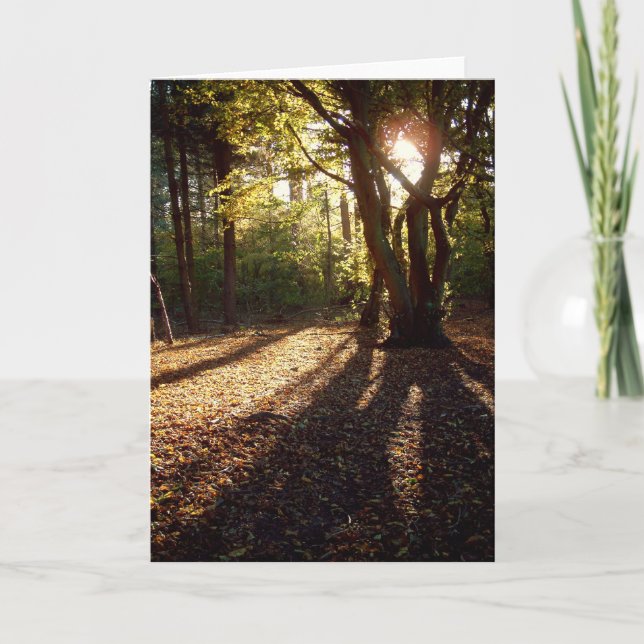 Carte Automne | (Devant)