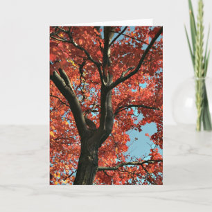 Carte AUTOMNE (carte vide)