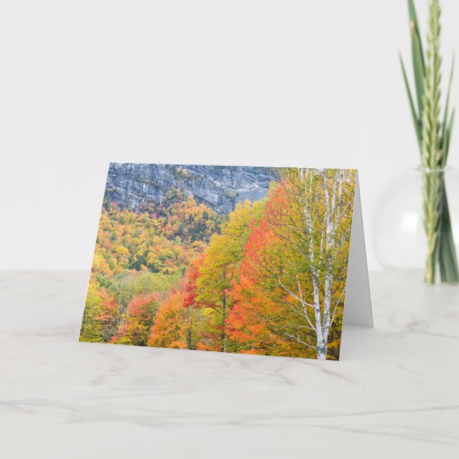 Carte Automne dans le parc d'État de Grafton Notch, Main (Devant)