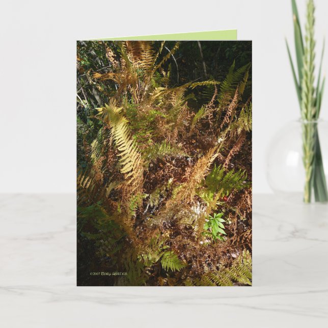 Carte Autumn Forest Floor (Devant)