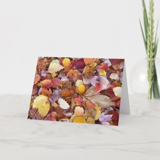 Carte Autumn Leaves Blank Note Card (Devant)