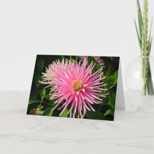 Carte aux Dahlias Roses