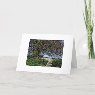 Carte Avebury, Wiltshire, England. Tree and path.