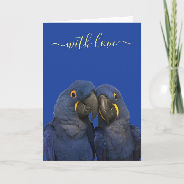 Carte Avec Amour Hyacinth Macaw Parrot Bird Bleu (Devant)
