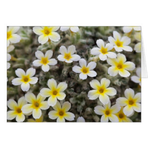 Carte avec des fleurs