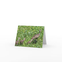 Carte avec écriture