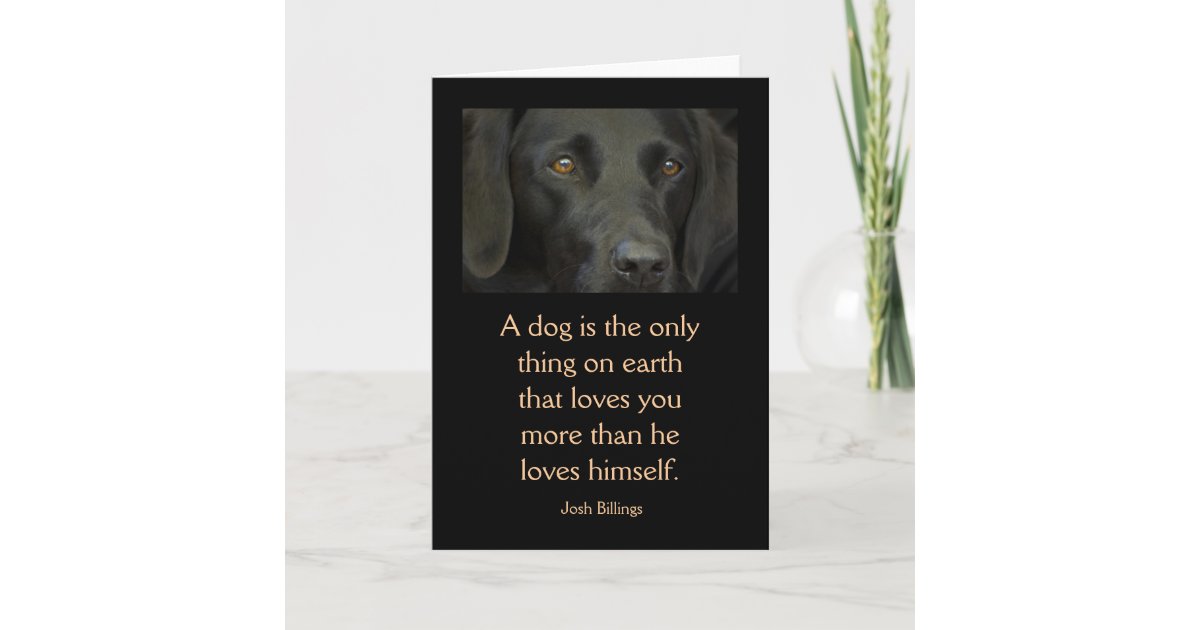 Carte avec la citation - chien noir de Labrador | Zazzle.fr