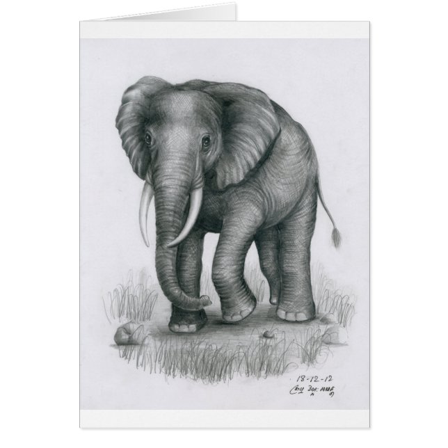 Carte avec l'éléphant par Vannak Anan Prum (Devant)