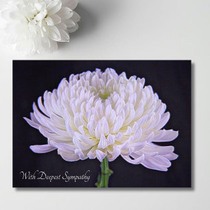 Carte Avec Profonde Sympathie Chrysanthème Blanc