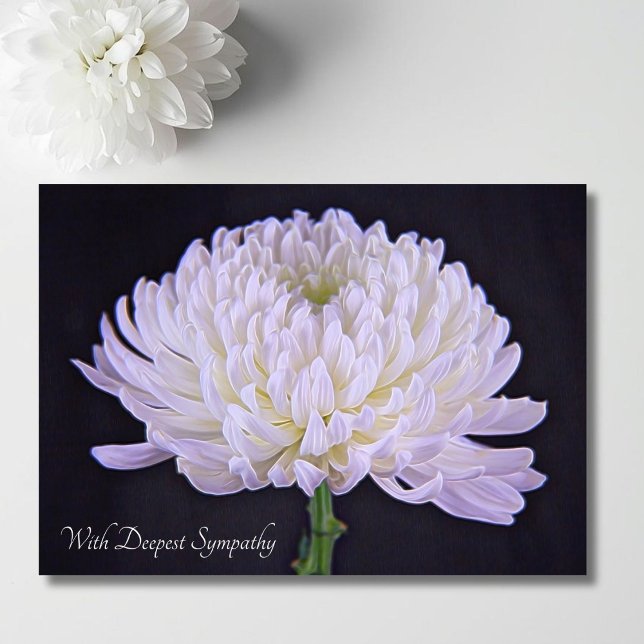 Carte Avec Profonde Sympathie Chrysanthème Blanc (Créateur téléchargé)