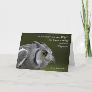 Carte avec quota - Baby Grey Owl