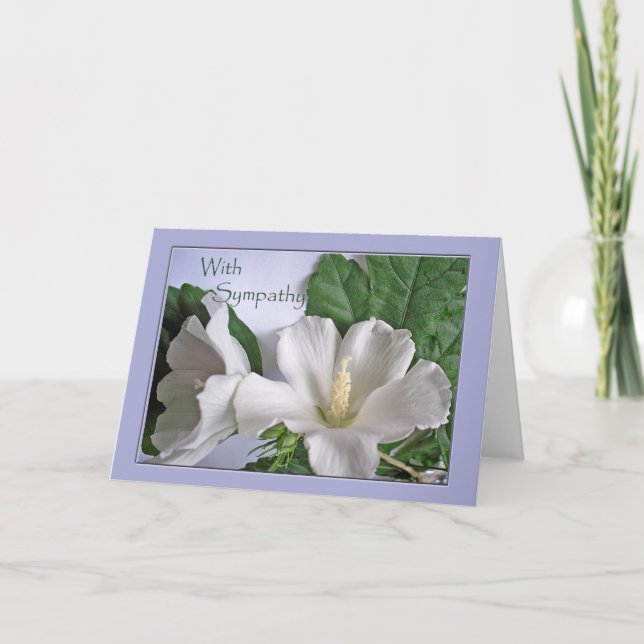 Carte Avec sympathie Rose de Sharon à fleurs blanches d' (Devant)