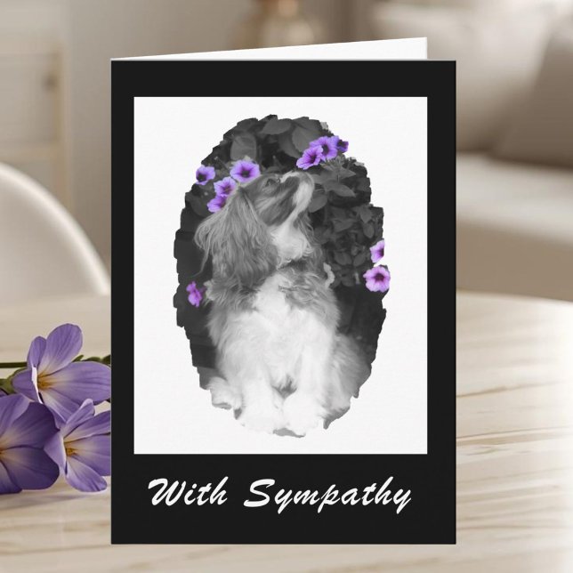 Carte Avec Sympathy Cavalier King Charles Card (Créateur téléchargé)