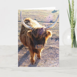 Carte Avez-vous dit la Journée des cheveux morts ?