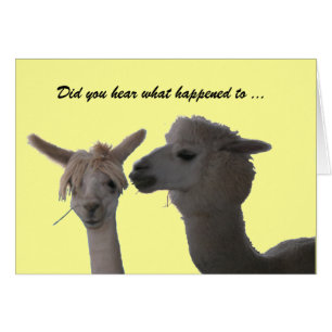 Carte - Avez-Vous Entendu ...