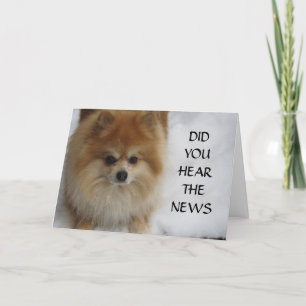 CARTE AVEZ-VOUS ENTENDU LES NOUVELLES ?