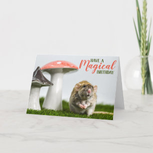 Carte Avoir un anniversaire magique