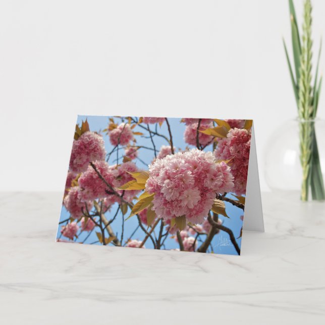 Carte Avril Blossoms [Carte de voeux] (Devant)