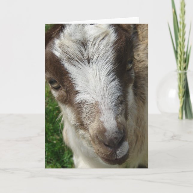 Carte Avril La Mancha Nanny Kid (Devant)