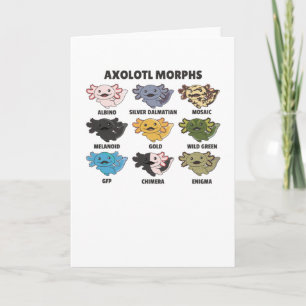 Carte Axolotls Du Monde Sweet Animaux Axolotl