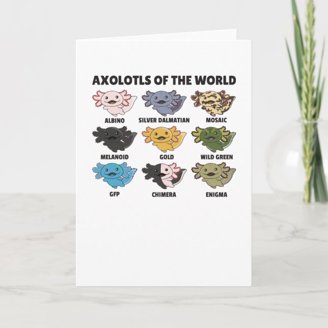 Carte Axolotls Du Monde Sweet Animaux Axolotl (Devant)