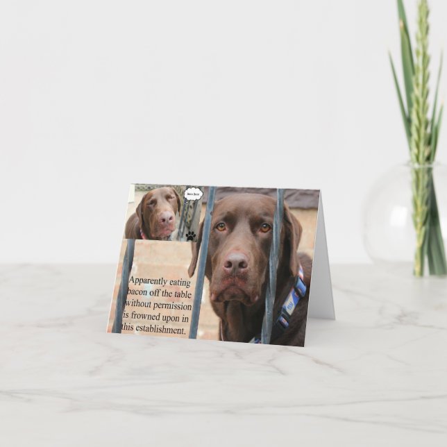 Carte Ayez un anniversaire fabuleux… sans conséquences (Devant)