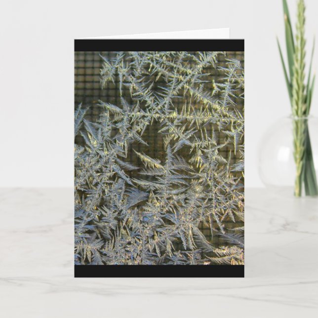 Carte Ayez un beau jour n'importe quelle occasion (Devant)