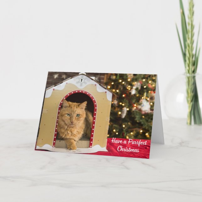 Carte Ayez un chat chouette de Noël à la maison de chat (Devant)