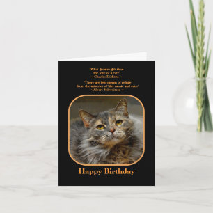 Carte Ayez un chat Tortoiseshell Birthday