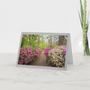 Carte Azalea 4 Chemin du jardin venté & azalées roses