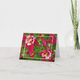 Carte Azalea Blossoms