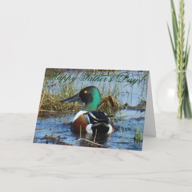 Carte B26 Northern Shoveler Duck (Devant)