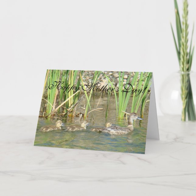 Carte B34 Mère cane et canetons (Devant)