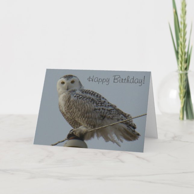 Carte B38 Harfang des neiges (Devant)