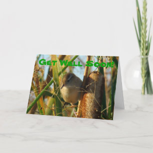 Carte B3 Marsh Wren in Cattails